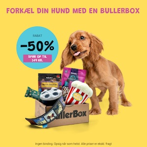 Bullerbox - Spar 50 % på en goodiebox til din hund