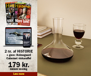 2 utg HISTORIE for 179 kr + Holmegaard Cabernet Vinkaraffel