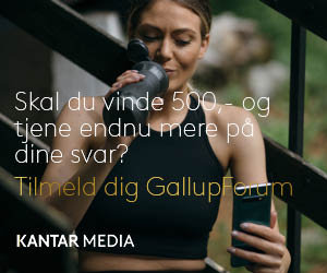 betalte spørgeskemaer