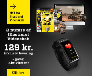 2 nr. af Illustreret Videnskab + Aktivitetsur for 129 kr