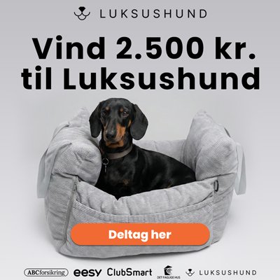 Vind 2.500 kr. til hundeudstyr hos Luksushund