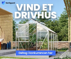 Vind et drivhus